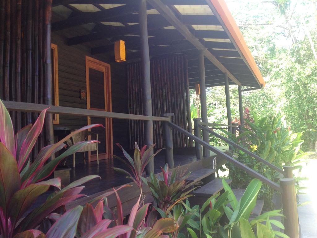 Island Plantation (Adults Only) Hotell La Gruta Rom bilde