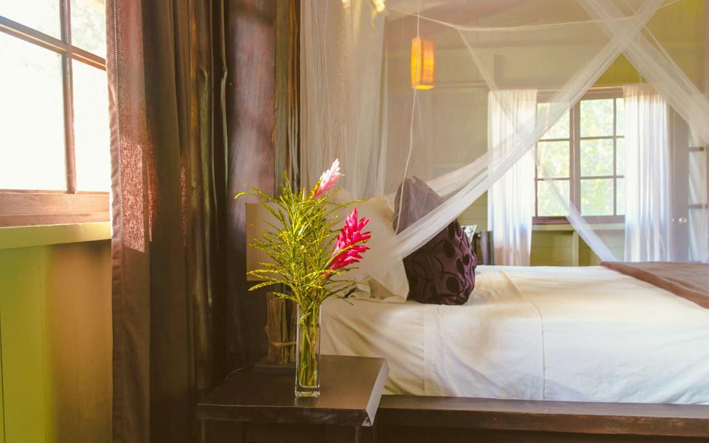 Island Plantation (Adults Only) Hotell La Gruta Rom bilde