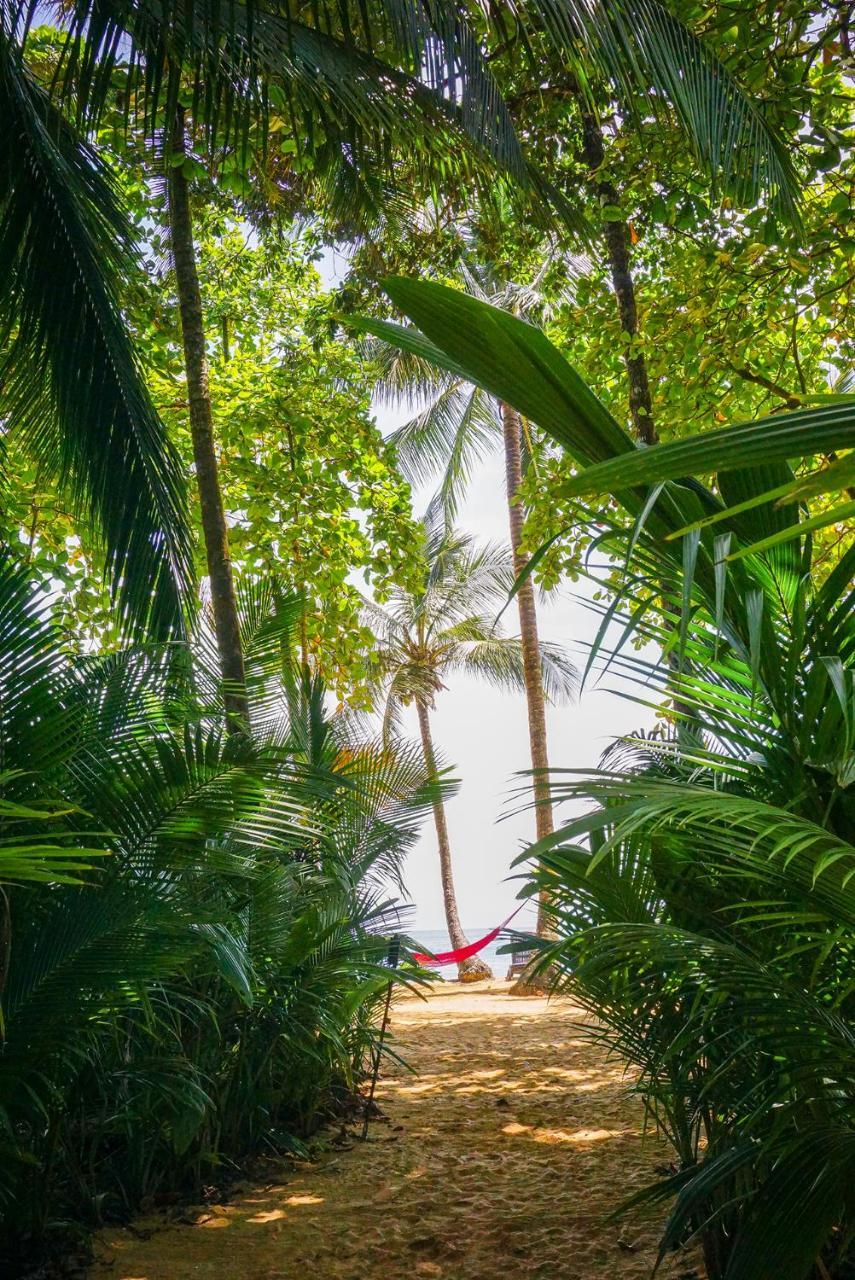 Island Plantation (Adults Only) Hotell La Gruta Eksteriør bilde
